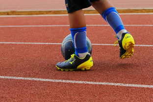 开云平台-篮球运动员心理健康支持体系构建，篮球运动员心理健康支持体系构建方案